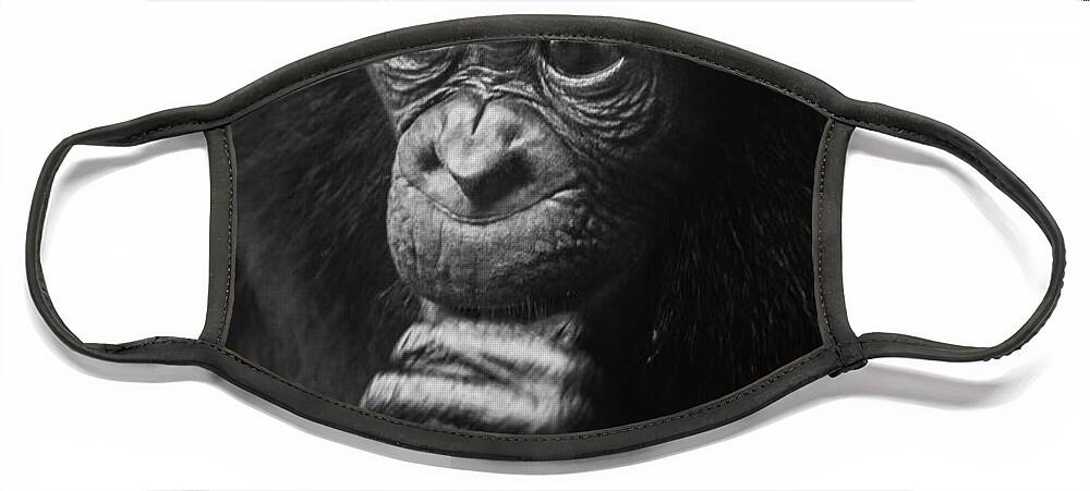 Bonobo Face Mask featuring the photograph Baby Bonobo Portrait by Heiko Koehrer-Wagner
