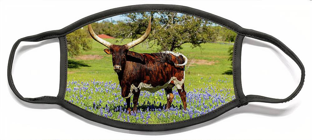 African Breed Face Mask featuring the photograph Beautiful longhorn bull by Raul Rodriguez