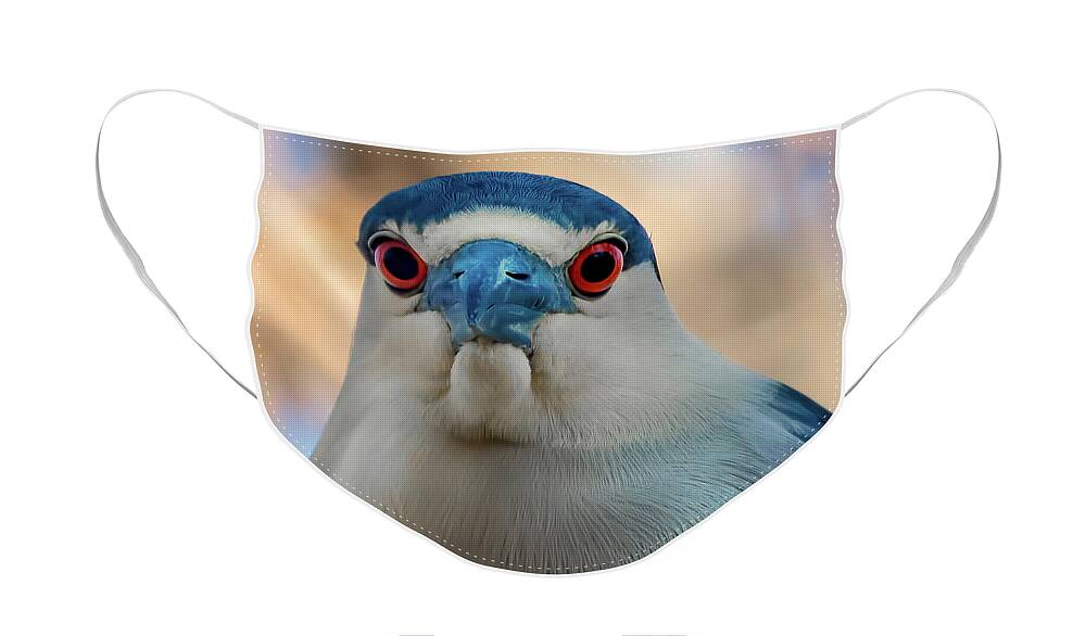 Black Crowned Night Heron Face Mask featuring the photograph Black Crowned Night Heron #1 by Sam Rino