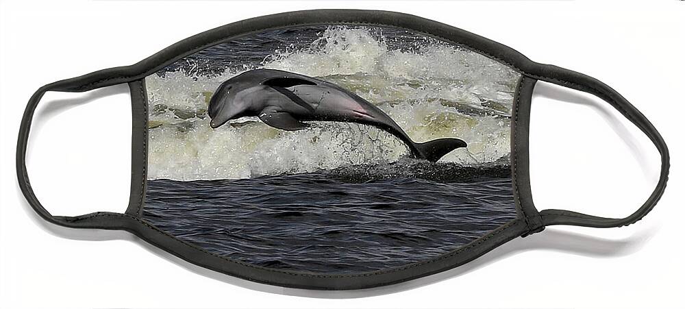 Bottlenose Dolphin Face Mask featuring the photograph Bottlenose Dolphin #2 by Meg Rousher