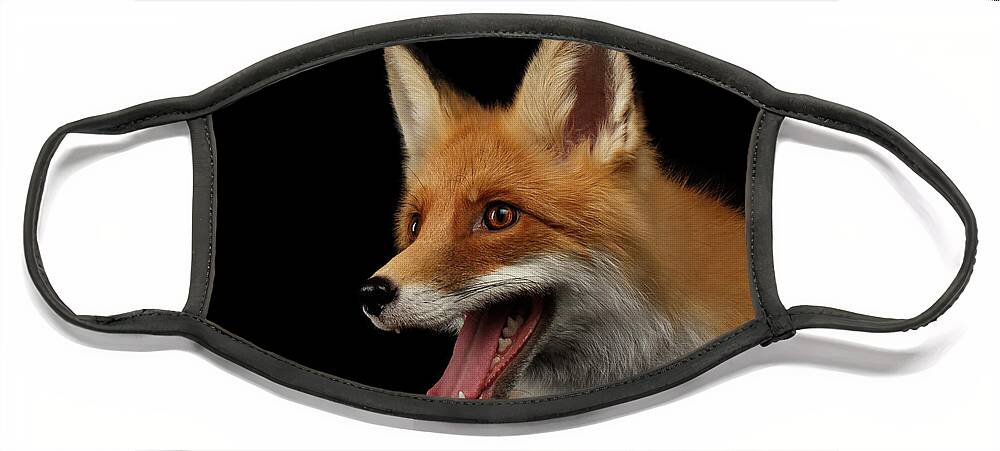 Red Fox Face Mask For Sale By Sergey Taran Red Fox Face Mask For Sale By Sergey Taran