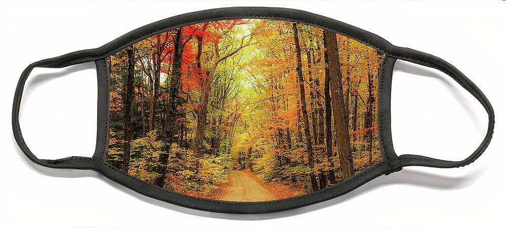 Fall Face Mask featuring the photograph Country Road #2 by Robert Clifford