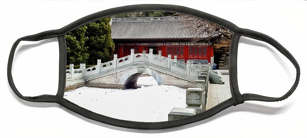 China Face Mask featuring the photograph Discovering China by Marisol VB