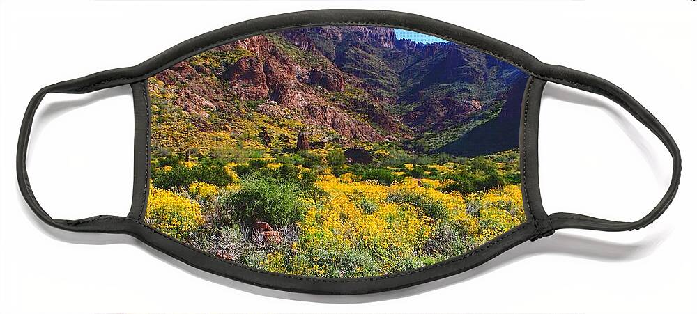 Arizona Face Mask featuring the photograph Imperial Gold #1 by Hans Brakob