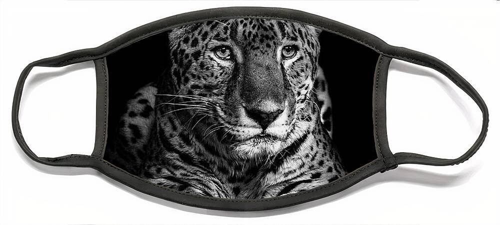 Jaguar Face Mask featuring the photograph Jaguar #1 by Jarrod Erbe