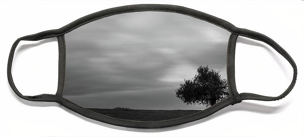 Olive Tree Face Mask featuring the photograph Lonely Olive tree in a green field and moving clouds by Michalakis Ppalis