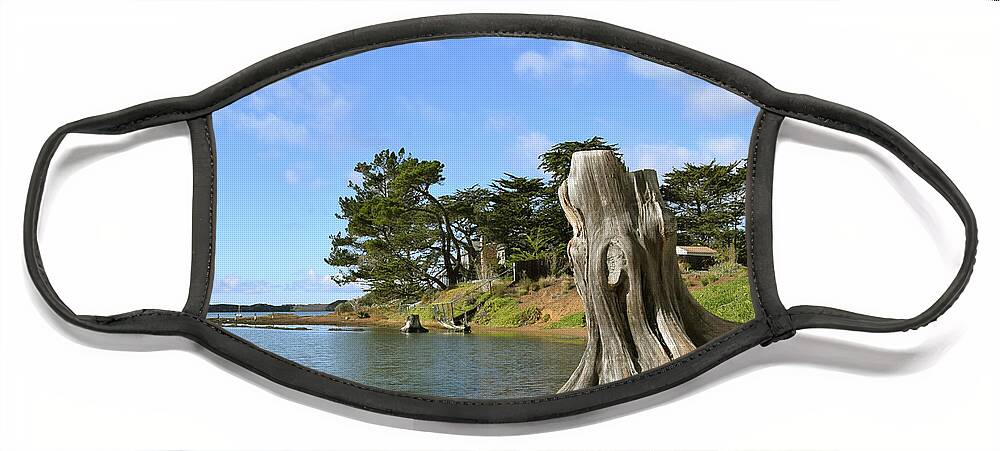 Los Osos California Detail Face Mask featuring the photograph Los Osos California Detail #1 by Barbara Snyder