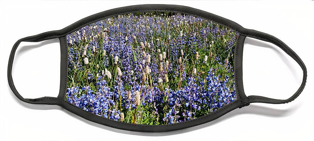 Alpine Face Mask featuring the photograph Meadow of Lupine Near Mount Rainier by Jeff Goulden
