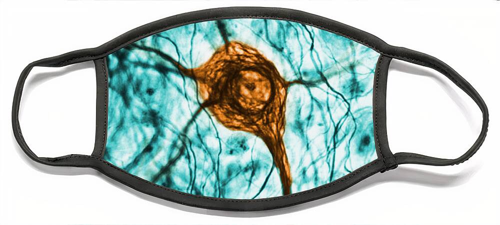 Cell Face Mask featuring the photograph Neuron, Tem by Science Source