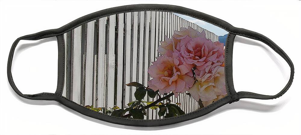 Rose Face Mask featuring the photograph Orcas Island Rose #1 by Tim Nyberg