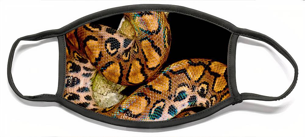 Animal Face Mask featuring the photograph Rainbow Boa #1 by Dant Fenolio