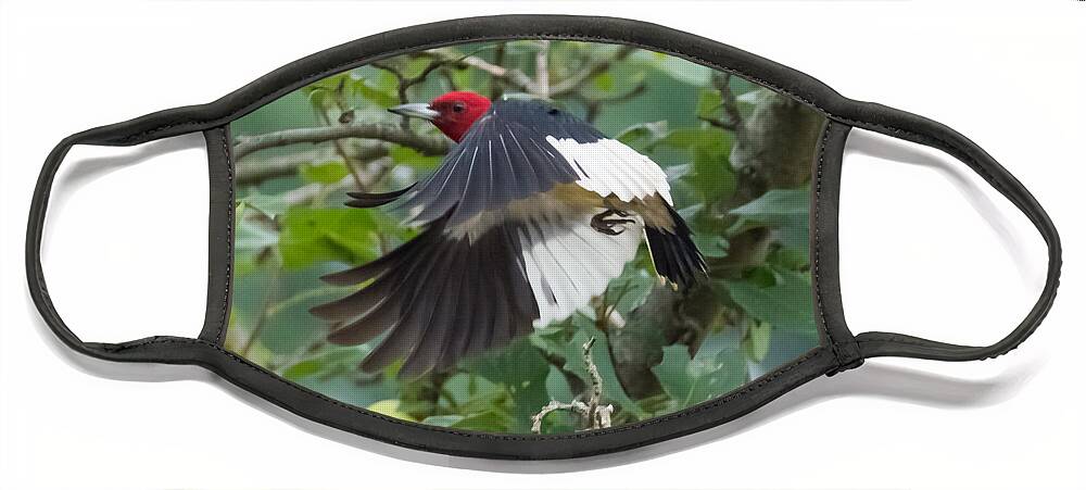 Red Headed Woodpecker Face Mask featuring the photograph Red-Headed Woodpecker by Holden The Moment