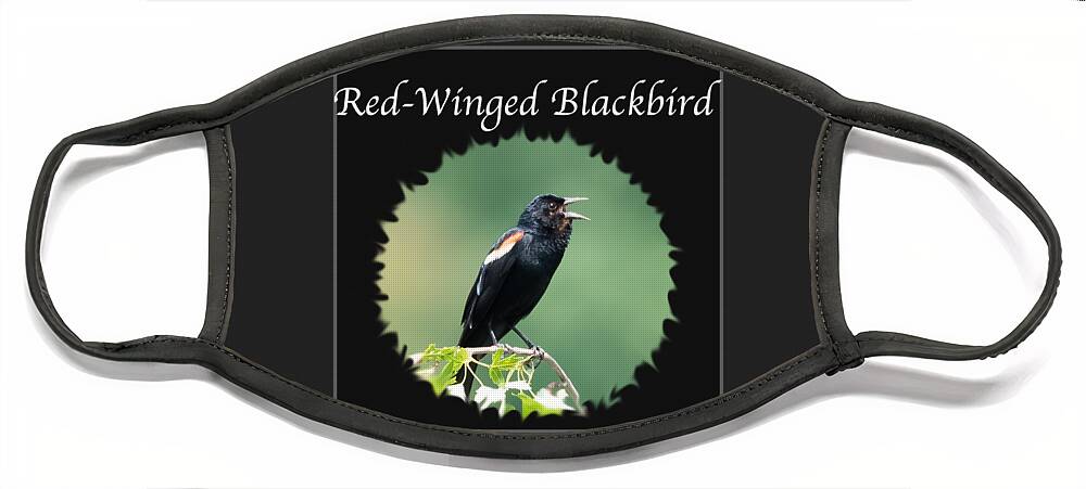 Red-winged Blackbird Face Mask featuring the photograph Red-Winged Blackbird #1 by Holden The Moment