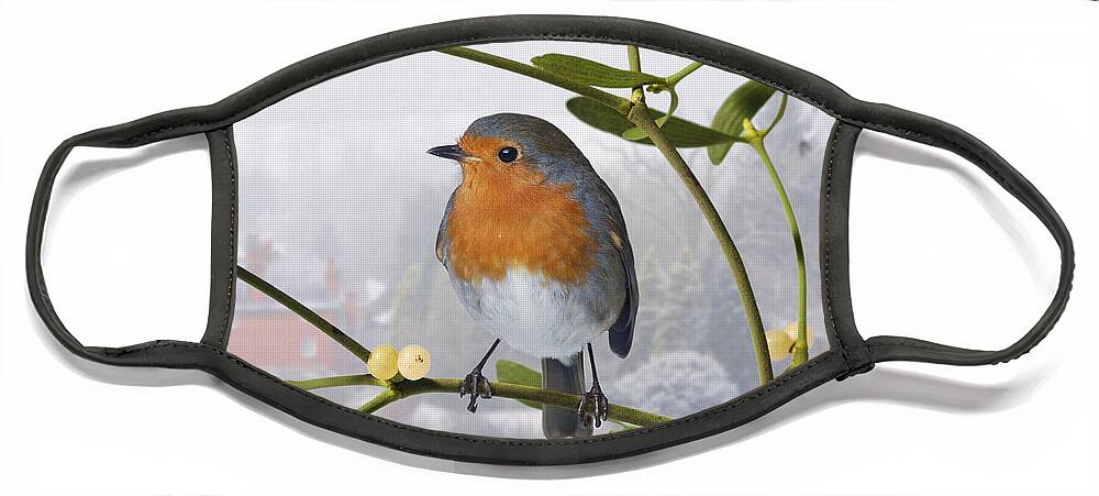 European Robin Face Mask featuring the photograph Robin on mistletoe by Warren Photographic
