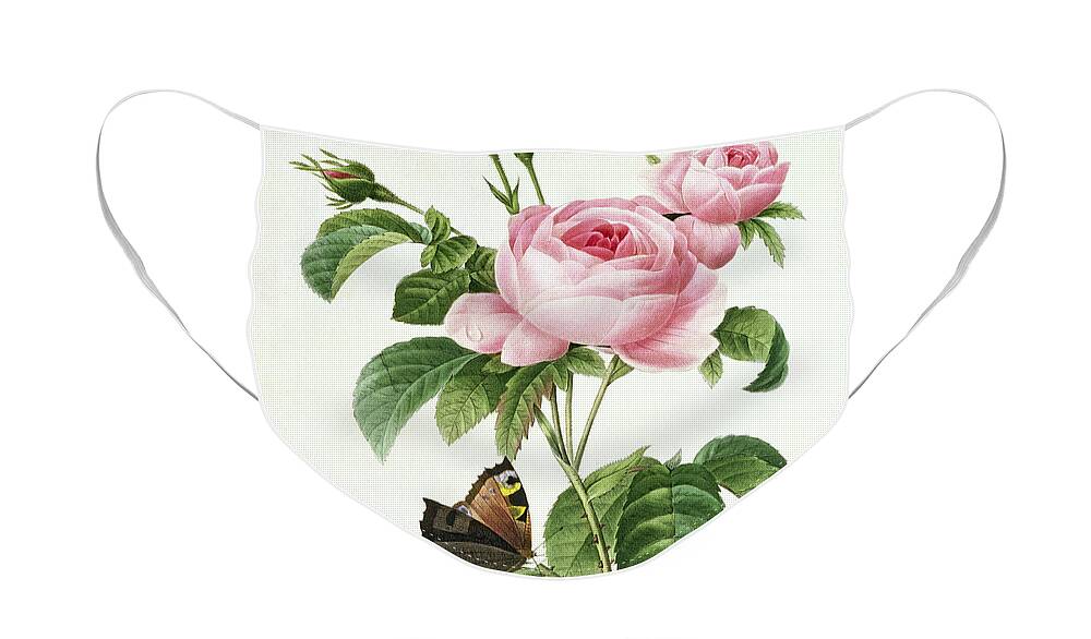 Butterfly Face Mask featuring the painting Rosa Centifolia by Pierre Joseph Redoute