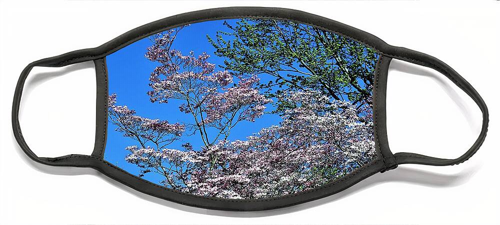 Flowers Face Mask featuring the photograph Springtime in Louisville by Merle Grenz