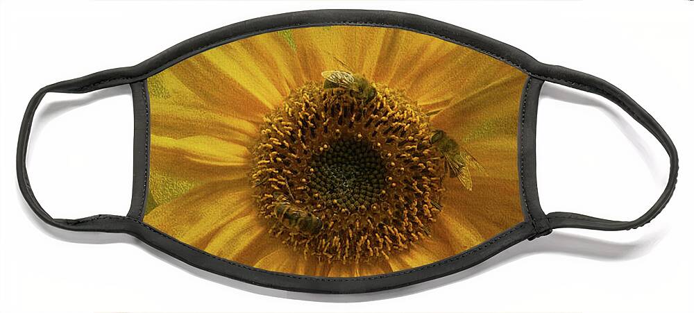Botanical Face Mask featuring the photograph Sunflower #2 by Sue Leonard