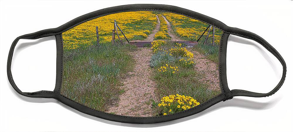 Yellow Wildflowers Face Mask featuring the photograph The Golden Gate by Jim Garrison