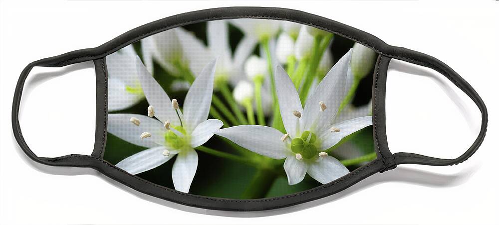 Wild Garlic Face Mask featuring the photograph Wild Garlic by Nick Bywater