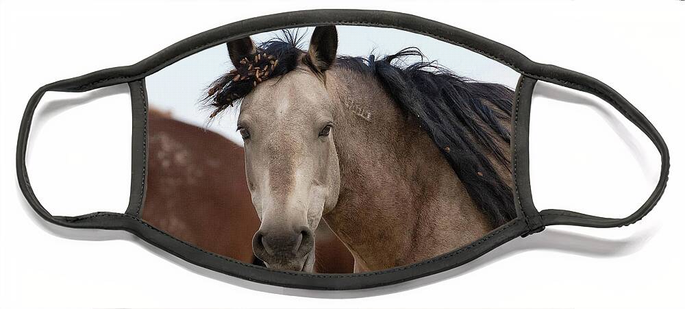 Cholla Face Mask featuring the photograph Wild Mustang #1 by Ronnie And Frances Howard