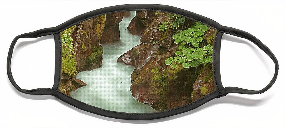 1m8115 Face Mask featuring the photograph 1M8115 Avalanche Gorge MT by Ed Cooper Photography