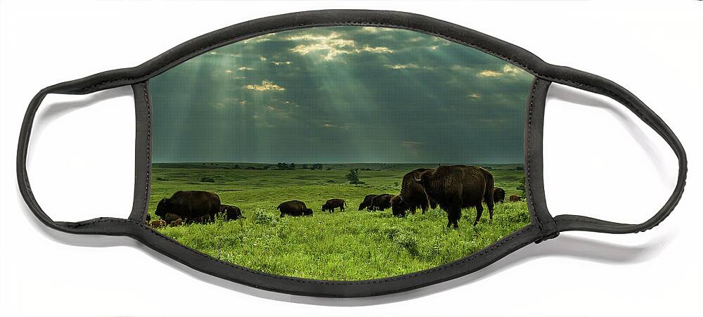 Jay Stockhaus Face Mask featuring the photograph Bison #2 by Jay Stockhaus