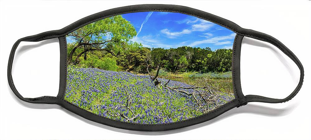 Austin Face Mask featuring the photograph Texas Bluebonnets #2 by Raul Rodriguez