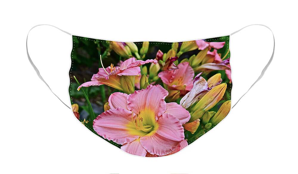 Daylilies Face Mask featuring the photograph 2015 Summer at the Garden Daylilies 1 by Janis Senungetuk