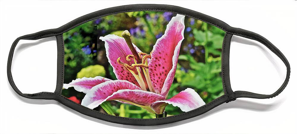 Lily Face Mask featuring the photograph 2015 Summer at the Garden Late August Event Garden Last Lily by Janis Senungetuk