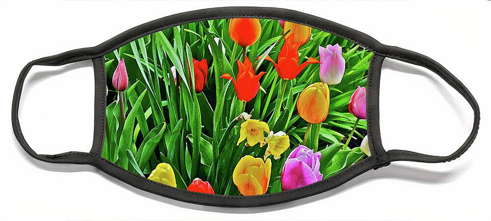 Tulips;spring Flowers; Spring Flower Garden; Spring Garden;flowers;spring Garden Plants;gardens; Face Mask featuring the photograph 2016 Acewood Tulips Overiew by Janis Senungetuk