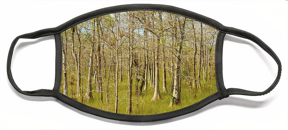 Big Cypress National Preserve Face Mask featuring the photograph Florida Everglades by Raul Rodriguez