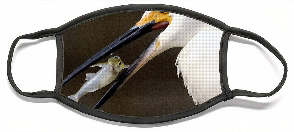 Egret Face Mask featuring the photograph Egret #3 by Marc Bittan