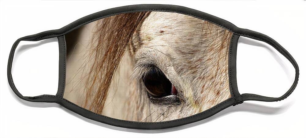Horse Face Mask featuring the photograph Horse portrait by Ian Middleton