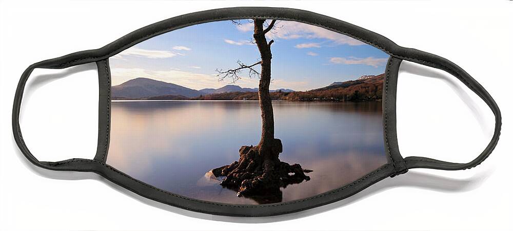 Tree Face Mask featuring the photograph Loch Lomond Tree #3 by Grant Glendinning