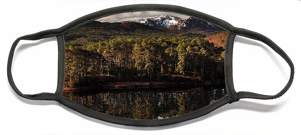 Loch Benevean Face Mask featuring the photograph Glen Affric #6 by Gavin Macrae