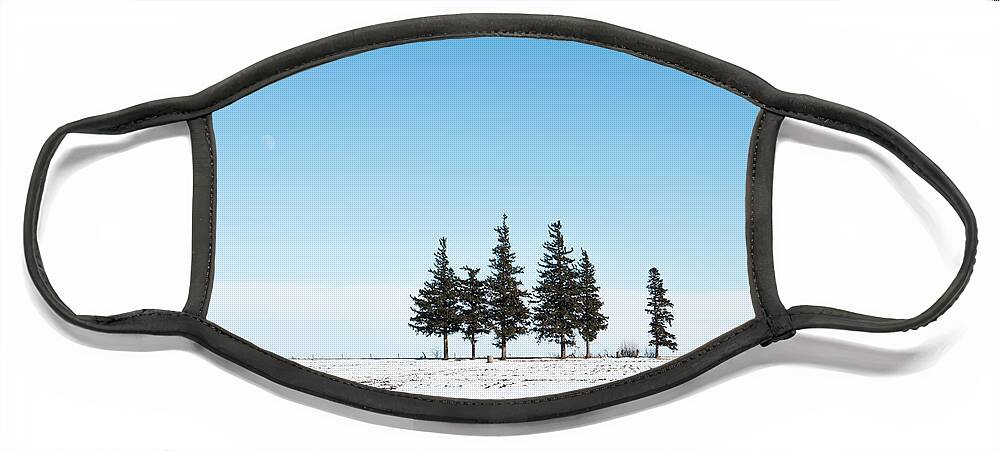 Pines Face Mask featuring the photograph 6 Pines And The Moon by Troy Stapek