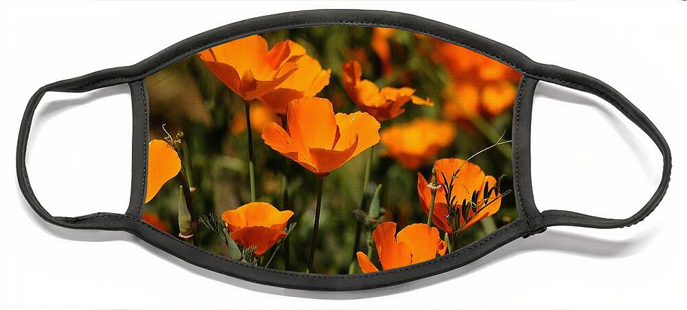 Poppies Face Mask featuring the photograph Poppies by Marc Bittan