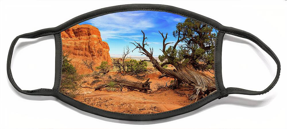 Arches National Park Face Mask featuring the photograph Arches National Park by Raul Rodriguez