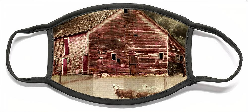 Barn Face Mask featuring the photograph A Grazy Day by Julie Hamilton