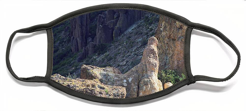 Rock Formations Face Mask featuring the photograph A Hard Ride by Kathy McClure
