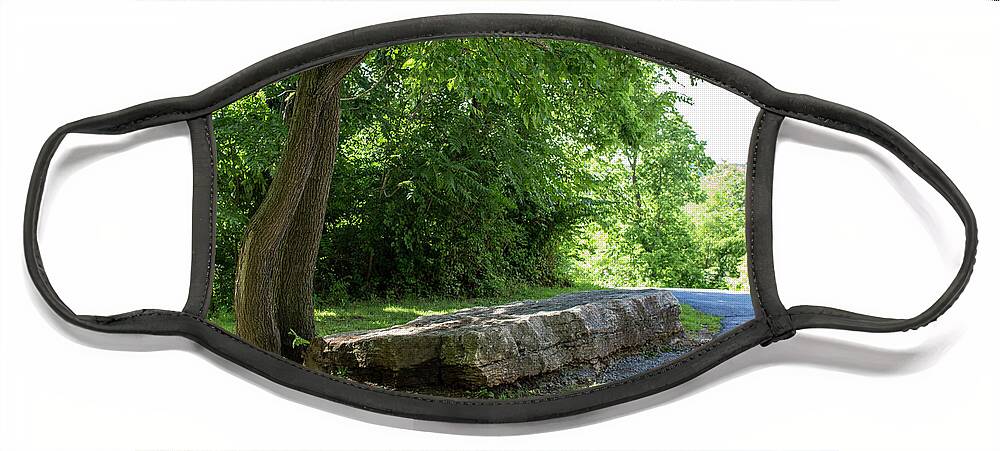 Park Face Mask featuring the photograph A Place to Rest by K Bradley Washburn