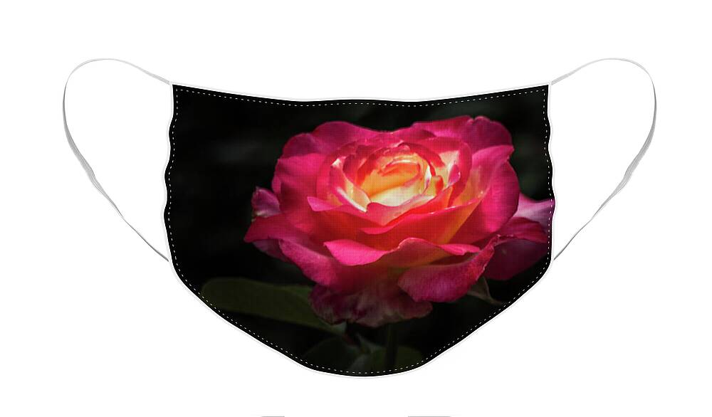 Rose Face Mask featuring the photograph A Rose for Love by Ed Clark