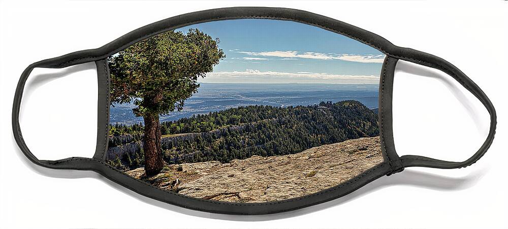 Landscape Face Mask featuring the photograph A Tree on the Edge by Michael McKenney