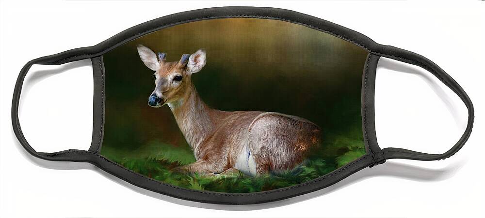 Animal Face Mask featuring the photograph A Young Buck by Lana Trussell