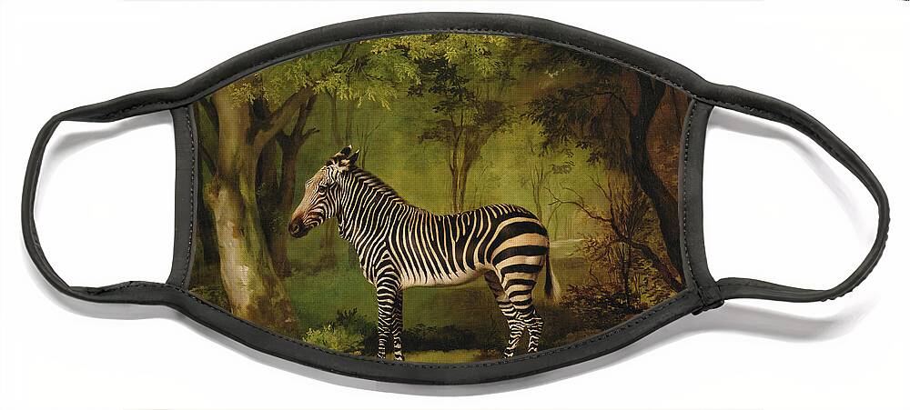 Zebra Face Mask featuring the painting A Zebra by George Stubbs