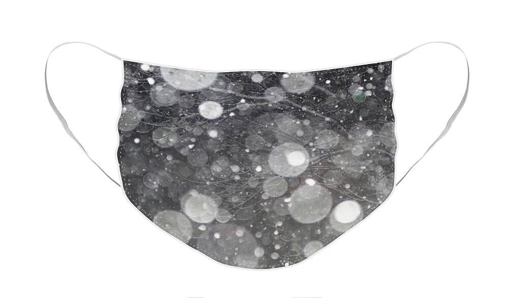 Storm Face Mask featuring the photograph Abstract Branches in Snow by Susan Vineyard