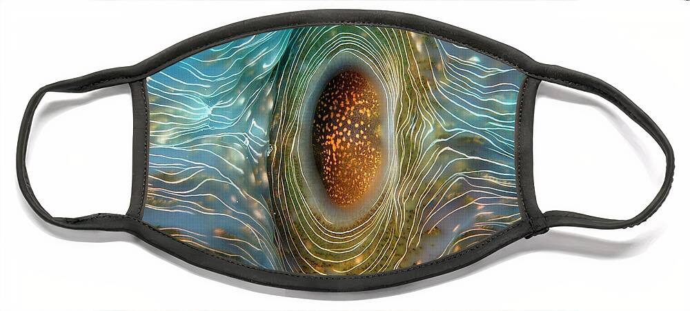 Abstract Face Mask featuring the photograph Abstract clam by Artesub