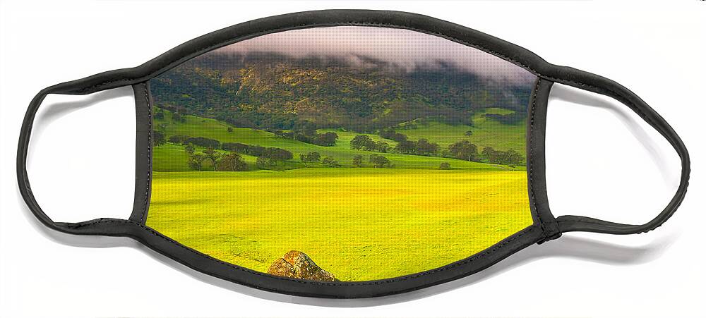 Landscape Face Mask featuring the photograph After The Storm by Marc Crumpler