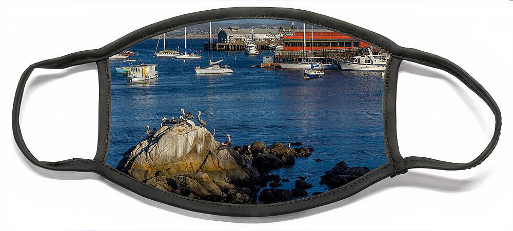 Monterey Face Mask featuring the photograph Afternoon Hangout by Derek Dean