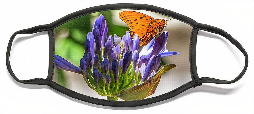 Flowers Face Mask featuring the photograph Agapanthus and Milkweed Tiger Butterfly by Venetia Featherstone-Witty
